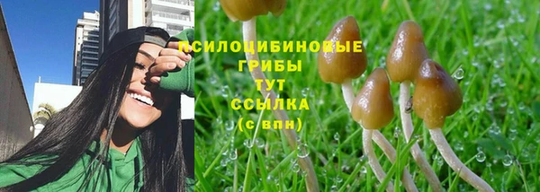 бошки Козловка