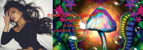 бошки Козловка