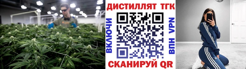 ТГК Wax  Купить где  Пролетарск 