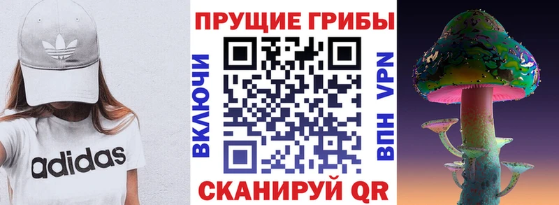 Купить Пролетарск Галлюциногенные грибы прущие грибы